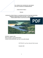 646 Danciu Paula - Rezumat Ro PDF