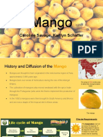 Mango