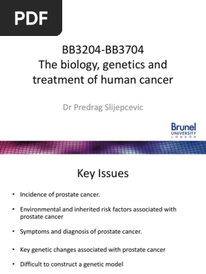 Prostate Cancer Treatment And Genetics Pdf Prostate Cancer Radiation Therapy