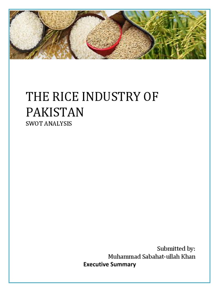 The Rice Industry of Pakistan | PDF | Rice | Agriculture