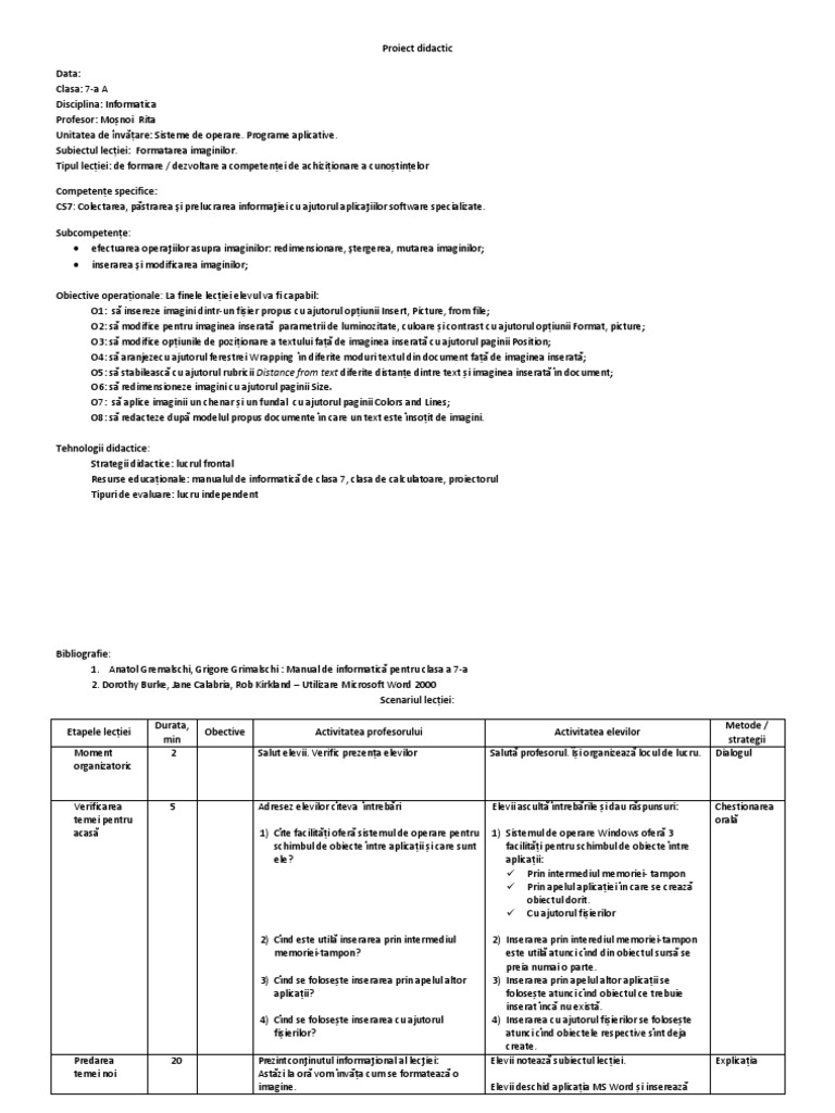 Proiect Formatare Imagini | PDF