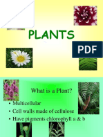 Plant Combo and Changes PWPT