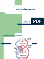 CV 2