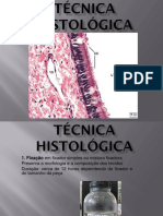 Técnica Histológica