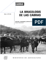 brucelosis cabras.pdf