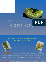T-3.1 HISTOLOGIA VEGETAL.pdf