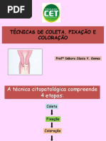 Técnicas de Coleta, Fixação e Coloração