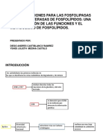 Metabolismo Lipidos