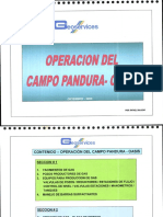 Operaciones de Campo Pandura-Oasis PDF