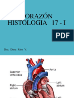 Corazon Histol 2018 - I