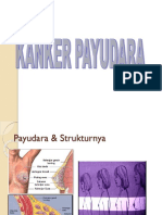 Kanker Payudara