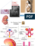 Nefrología Dermatología