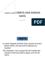 Anatomi Orbita Dan Adnexa Mata