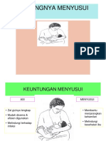 Pentingnya Menyusui