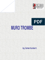 Sencico muros trombe.pdf