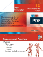 Musculoskeletal System