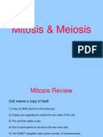 Biologi Tingkatan 4 Meiosis