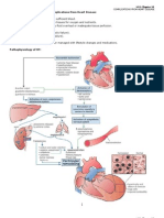 Chap.30 Complications From Heart Disease Word