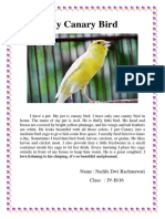 My Canary Bird: Name: Nadifa Dwi Rachmawati Class: IV-B/16