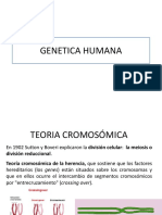 Genetica Humana