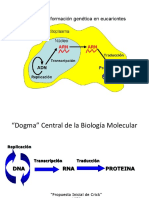 Dogma Genético 