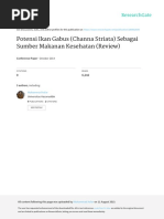 Download Potensi Ikan Gabus Channa Striata by Namanama SN379627417 doc pdf