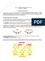 Guía 2 ADN y ARN (4° Medio)