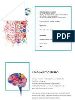 Lenguaje y Cerebro Revista.pdf