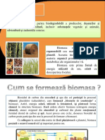 Biomasaa