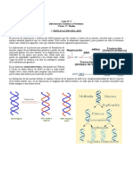 Guía Replicación Del ADN
