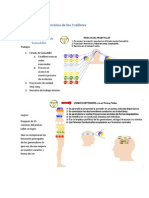 Resumen de Los Ejercicios de Los 3 Talleres