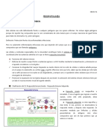 fisiopatologia n.1.docx