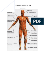 APARATOS Y SISTEMAS.docx