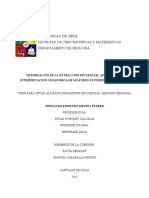 Optimizacion-de-la-extraccion-secuencial-COBRE.pdf