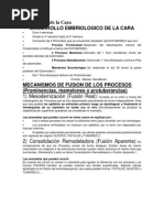 Embriología de La Cara