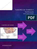 Cáncer de Ovario y Testiculos