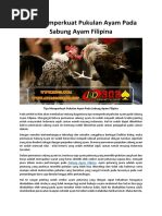 Tips Memperkuat Pukulan Ayam Pada Sabung Ayam Filipina