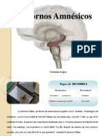 Trastornos Amnésicos: Clasificación y Criterios