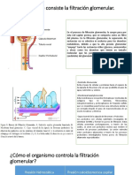 Pregunta 3 y 4