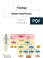 MP - Fisiologi SSP