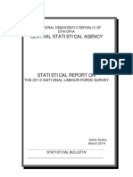 Statistical Report On The 2013 National Labour Force Survey