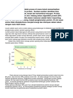 Protein Sparing Biokimia