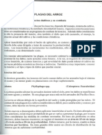 00276-plagasarrozaspectostecnicos.pdf