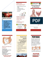 Ciawi - Bedah - Penyuluhan Leaflet