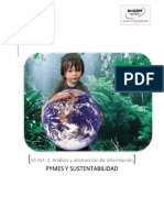 PYMES Y SUSTENTABILIDAD fuentes.pdf