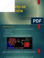 flotacion ppt.pptx