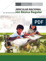 Diseño curricular nacional