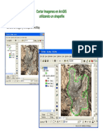 CortarImagen ArcGIS PDF
