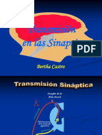 1.transmisión Sináptica NT