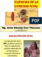 1 Consecuencias de La Malnutricion Fetal (1)